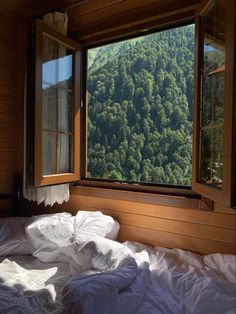 a window that has a view of the forest outside it and is open to let in light