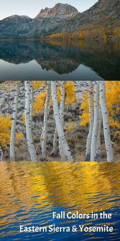 the cover of fall colors in the eastern sierra and yosemite mountains, with trees reflected in water