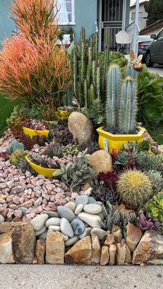 various plants and rocks in front of a house