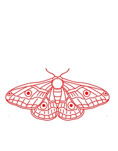 a red and white drawing of a moth