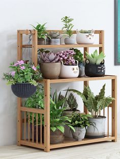 a wooden shelf filled with lots of potted plants