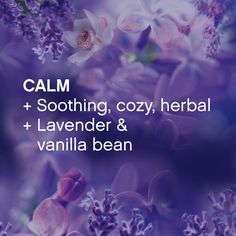 purple flowers with the words calm and soothing, cozy, herb lavender & vanilla bean