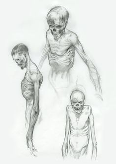 three different views of the human body