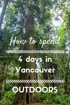 a large tree with the words how to spend 4 days in vancouver outdoors