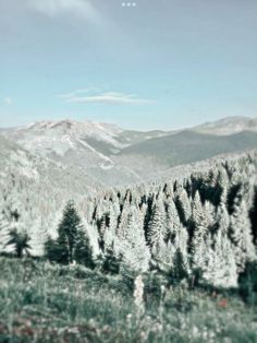 the mountains are covered in snow and trees