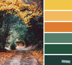 an autumn color palette with yellow, green, and orange colors in the background is a dirt road surrounded by trees