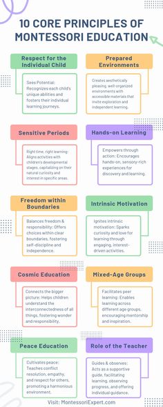 montessori principle, montessori principles, principles of montessori, basic montessori principles, montessori core principles, principles of montessori method, 8 principles of montessori, Montessori Expert, Montessori Education Principles Montessori Care Of Environment, Montessori Checklist, Montessori Living, Micro School, Kindergarten Syllabus