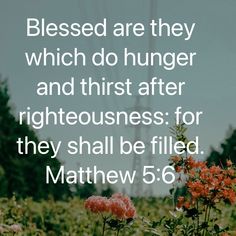 a field with flowers and a quote from the bible that says, blessed are they which do hunger and thirst after righteousness for they shall be filled