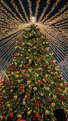 a large christmas tree with lights and decorations