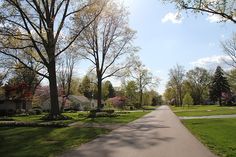 a street lined with lots of trees next to green grass and houses in the background