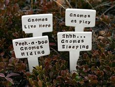 three white signs that say gnomes live here, peek - a - boof gnomes hiding