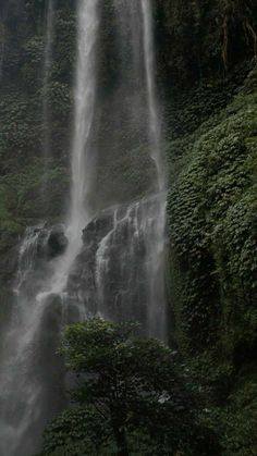 a large waterfall in the middle of a forest