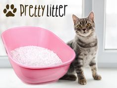 a cat standing next to a pink bowl with white rice in it and the words pretty litter