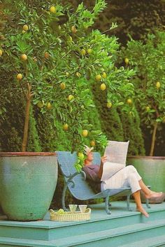 a woman sitting in a chair reading a book next to a tree filled with oranges