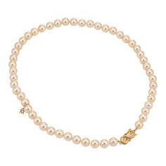 This is part of Chairish’s Fine Jewelry assortment.  Elegant Mikimoto cultured Akoya pearl necklace finished with a 18k yellow gold clasp (circa 2003).   8mm cultured Akoya pearls are individually knotted. The pearls are lustrous and show a glossy golden champagne hue.   The necklace was created in 2003 as a special anniversary edition to celebrate 110 years of Mikimoto (1893-2003). The special edition strand is a testament to Mikimoto craftsmanship. The pearls were produced with a piece of a go Classic Gold Pearl Necklace With 8mm Beads, Mikimoto Pearl Necklace, Golden Champagne, Akoya Pearl Necklace, Golden South Sea Pearls, Mikimoto Pearls, Golden Necklace, Chanel Accessories, South Sea Pearls