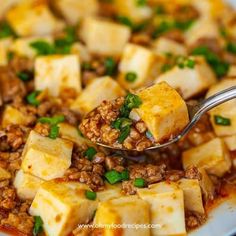 tofu with ground beef and green onions on a white plate