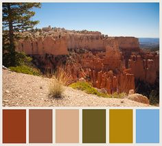 the color palette is brown, green, and blue in this image there are many different colors