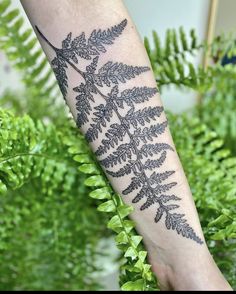 a fern leaf tattoo on the arm