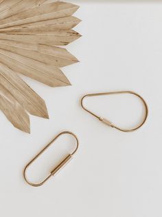 two gold paper clips next to a palm leaf