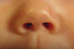 Baby nose shows the soft shape and very roundness. The nostrils are small and the lines are soft. Baby Nose, Saline Solution, Nasal Passages, Stuffy Nose, Nasal Congestion, Everything Baby, Baby Health, The Expert, Kids Health