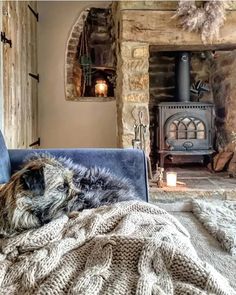 a dog laying on top of a blue couch next to a fire place