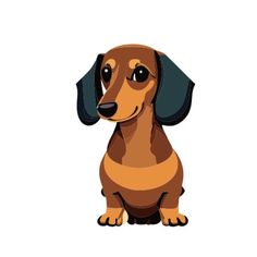 a brown and black dachshund dog sitting on top of a white background