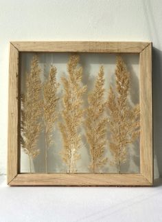 a wooden frame with some dried plants in it