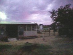 a blurry photo of a house in the middle of a field with trees and grass