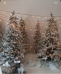 three christmas trees are decorated with lights and snow