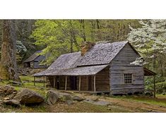 an old log cabin in the woods surrounded by trees