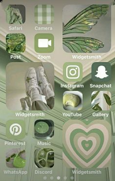 an image of the home screen with many different things on it, including green and white