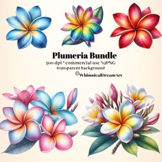 flower clipart bundle for commercial use with transparent background and watercolor flowers in pastel colors