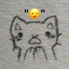 a drawing of a cat with an emoticive look on it's face