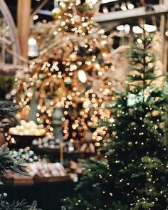 christmas trees in a store with lights on them