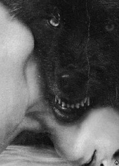 a black and white photo of a dog with its head on a person's shoulder