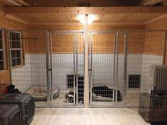 two dogs are in their kennels at the same time