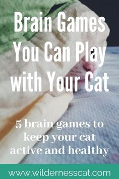 a cat laying on top of a bed with the words brain games you can play with your cat