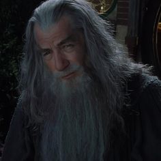 an older man with long grey hair and a beard