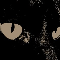 a black cat's eyes are glowing in the dark, with only one eye visible