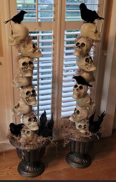 there are many skulls and birds on the top of each one in front of a window