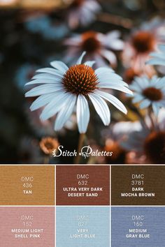 Color Palette With Light Blue, Blue And Brown Color Pallete, Blue Pink Brown Palette, Blue Brown Beige Color Palette, Blue And Gray Color Palette, Stitch Palettes, Dark Brown Light Blue Color Palette, Light Blue Color Palette