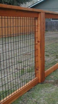 a dog is standing next to a fence