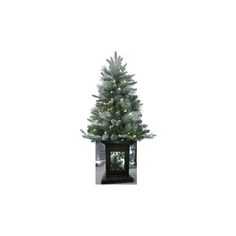 a small christmas tree in a black pot