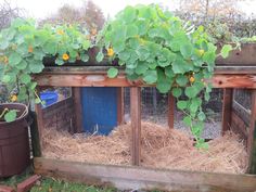 an outdoor area with hay and plants growing on the fence