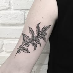 a black and white photo of a leaf tattoo on the left upper arm, with berries growing out of it