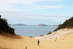 a person standing on top of a sandy beach next to the ocean with trees and mountains in the background