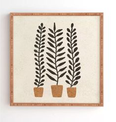 three potted plants on a white background art print by artist and photographer lauren lee