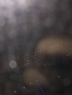 blurry image of city lights and buildings in the distance