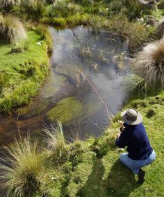 a man kneeling down next to a small river with a fishing rod in it's mouth