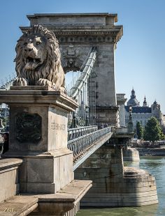 the bridge has a lion statue on it